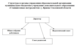 Общее собрание работников - 
председатель - Григорьева Мария Сергеевна, заместитель директора 

Педагогический совет – 
председатель – Киселева Валентина Александровна, директор

Совет родителей – 
председатель – Кактус Галина Евгеньевна